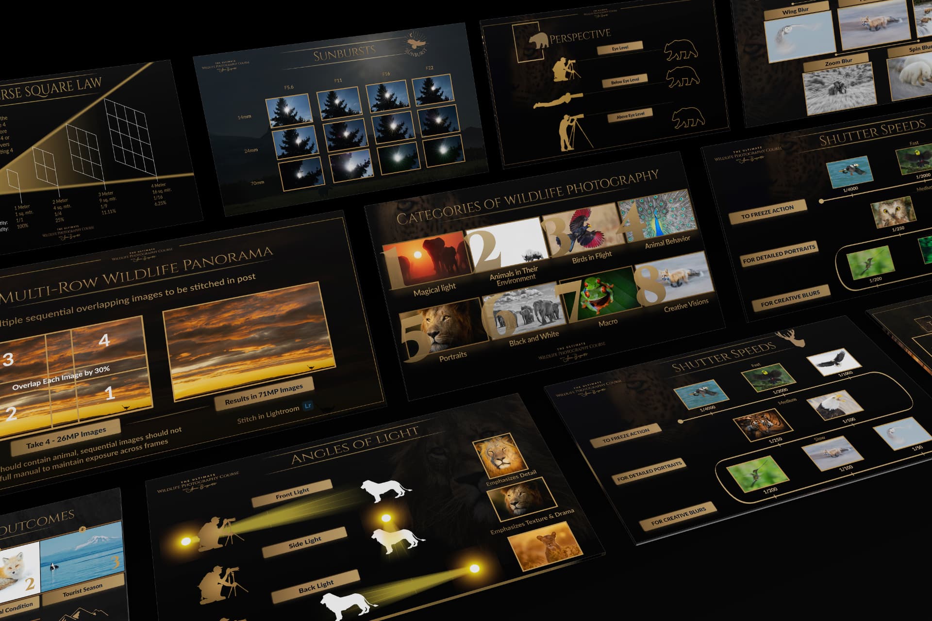 Collection of wildlife photography field guides covering light, perspective, panoramas, and shutter speeds